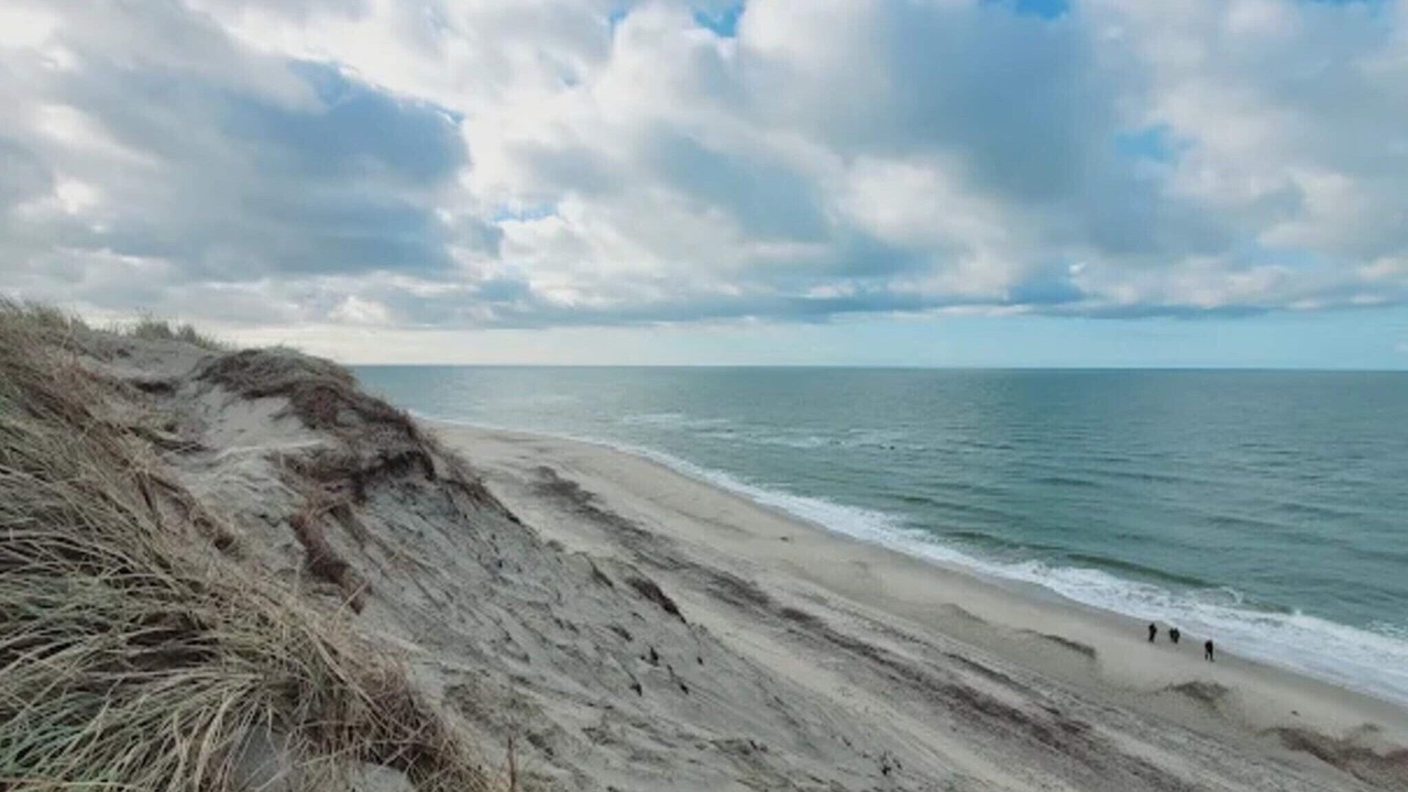 Photo of Others in Vedersø Klit