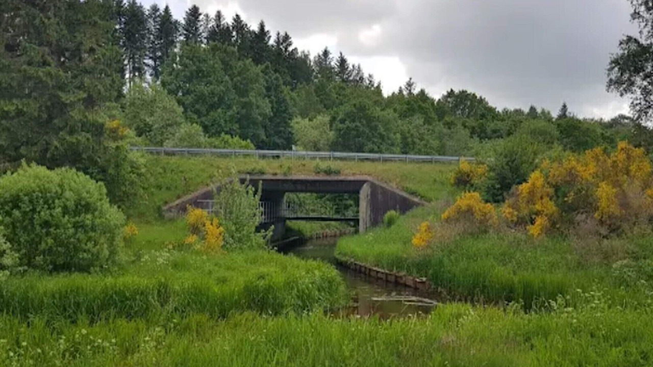 Photo of Others in Brande