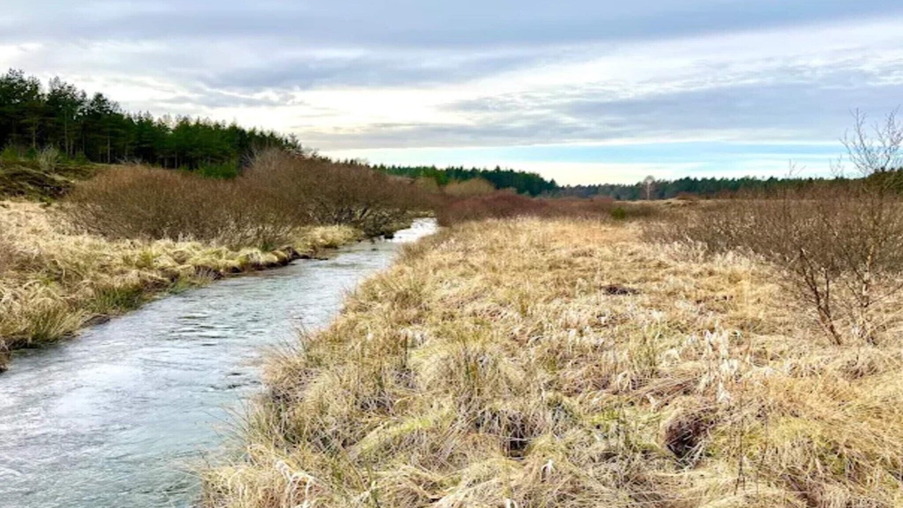 Photo of Others in Brande