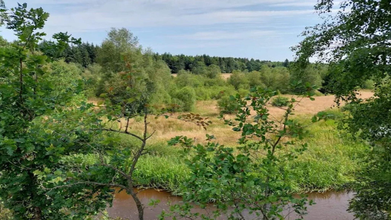 Photo of Others in Brande