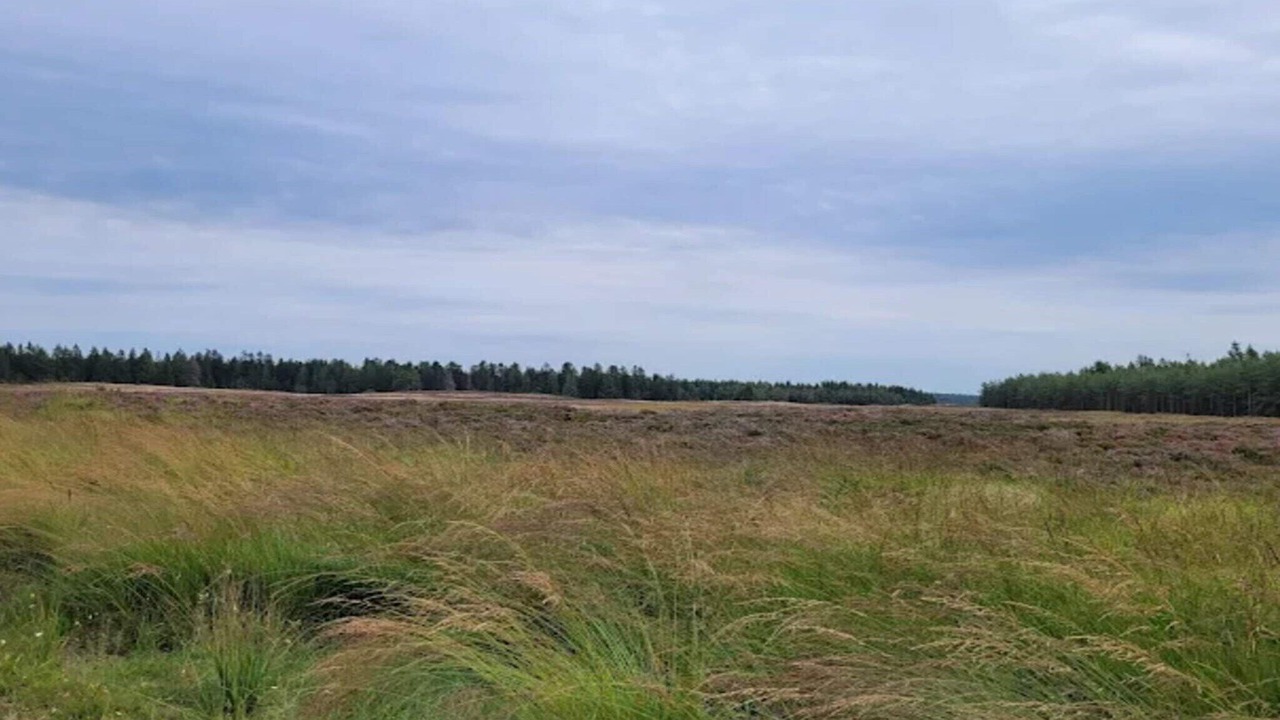 Photo of Others in Brande