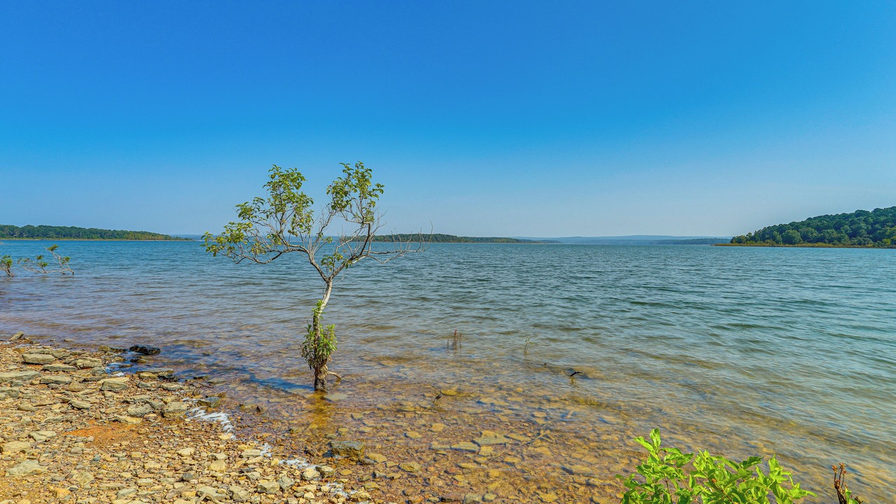 Photo of Outdoor in Heber Springs