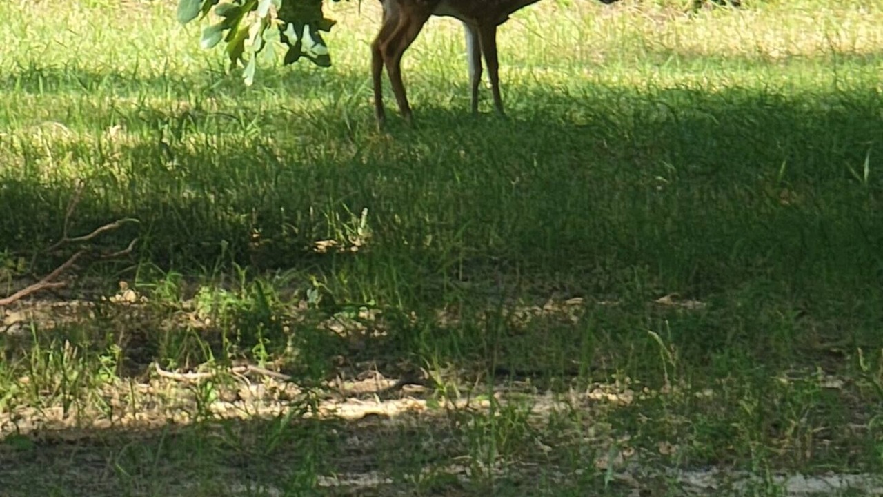 Photo of Others in Springtown