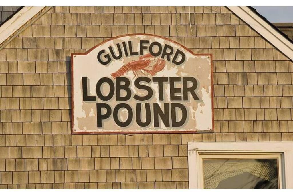 Photo of Outdoor in Guilford