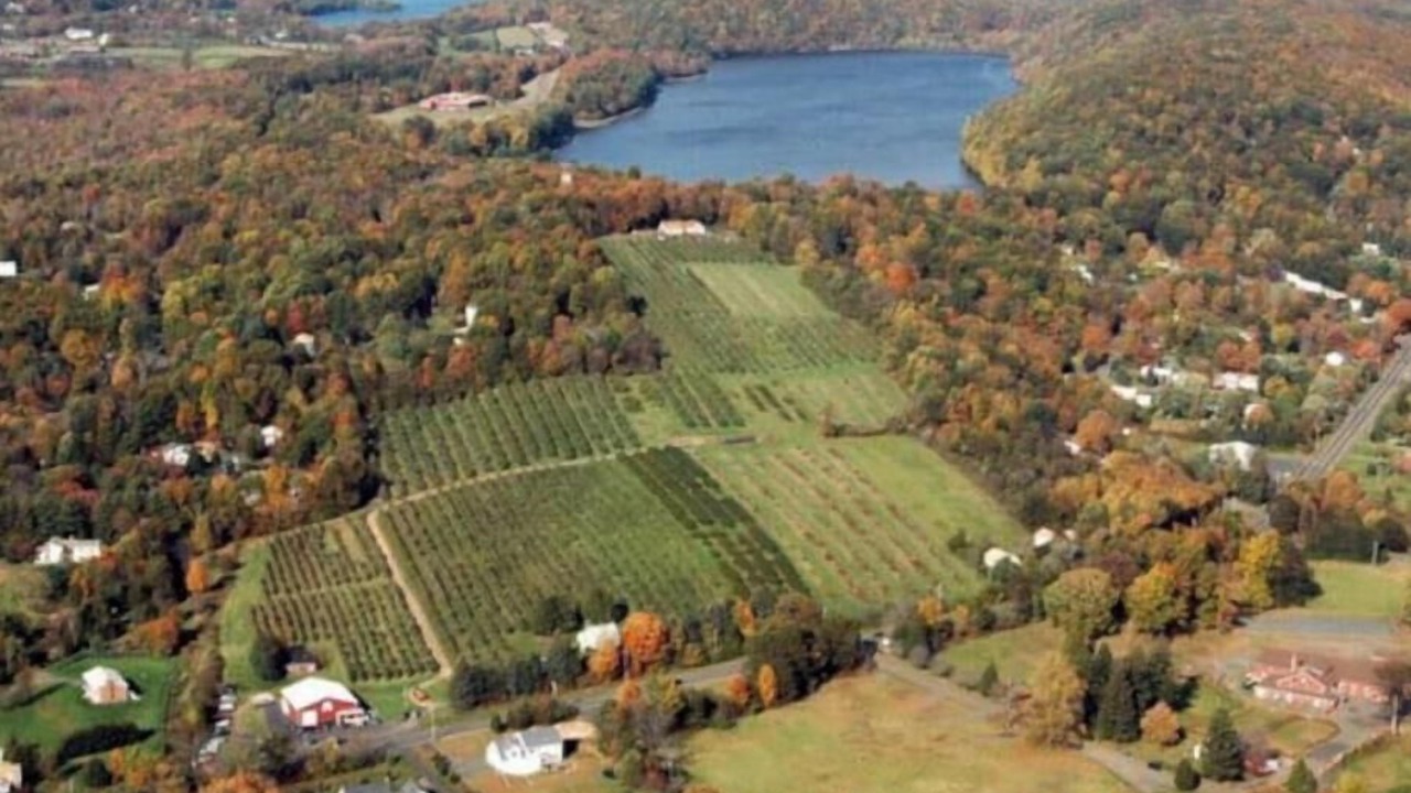 Photo of Outdoor in Guilford