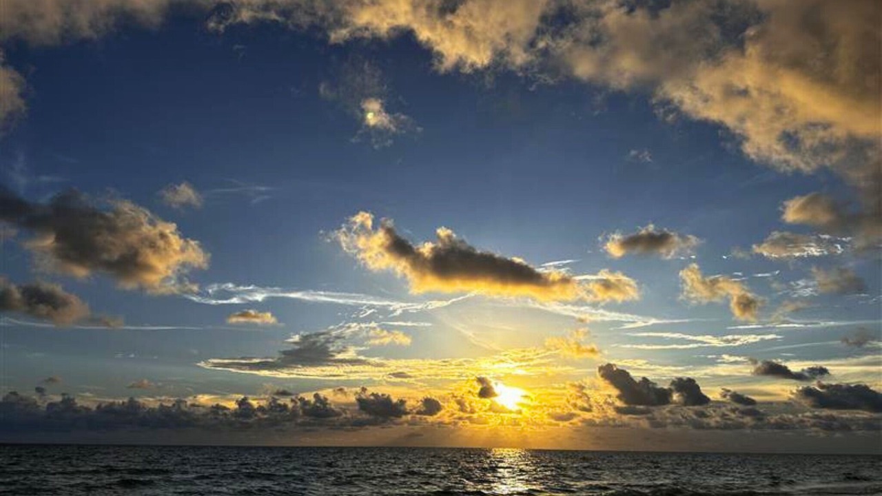 Photo of Others in Bradenton Beach