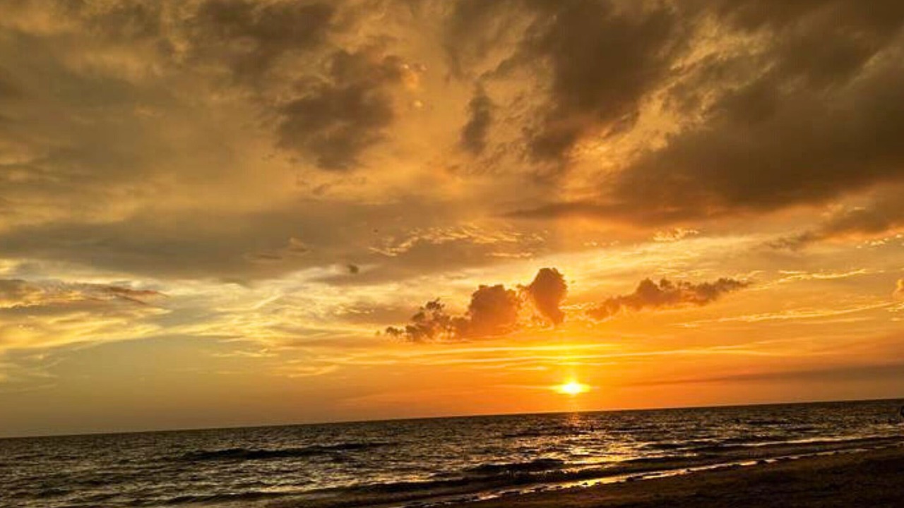 Photo of Others in Bradenton Beach