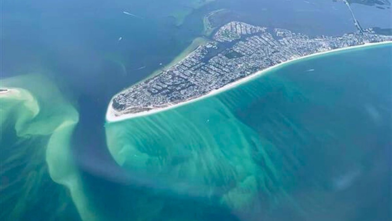Photo of Others in Bradenton Beach