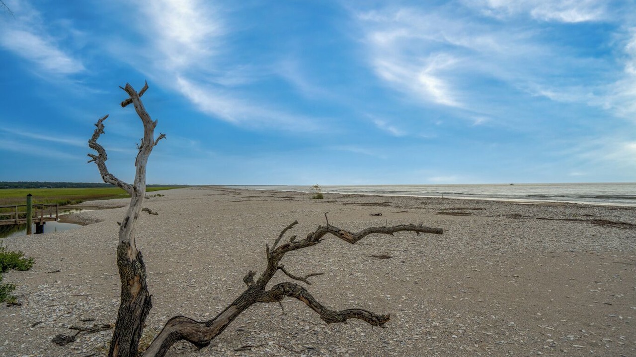 Photo of Others in Edisto Island
