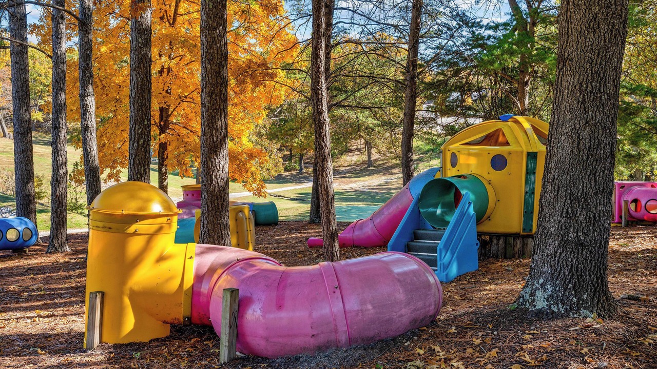 Photo of Others in Branson Cedars