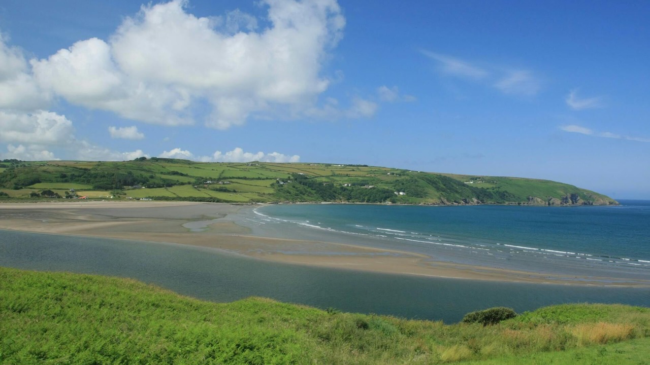 Photo of Others in Cardigan