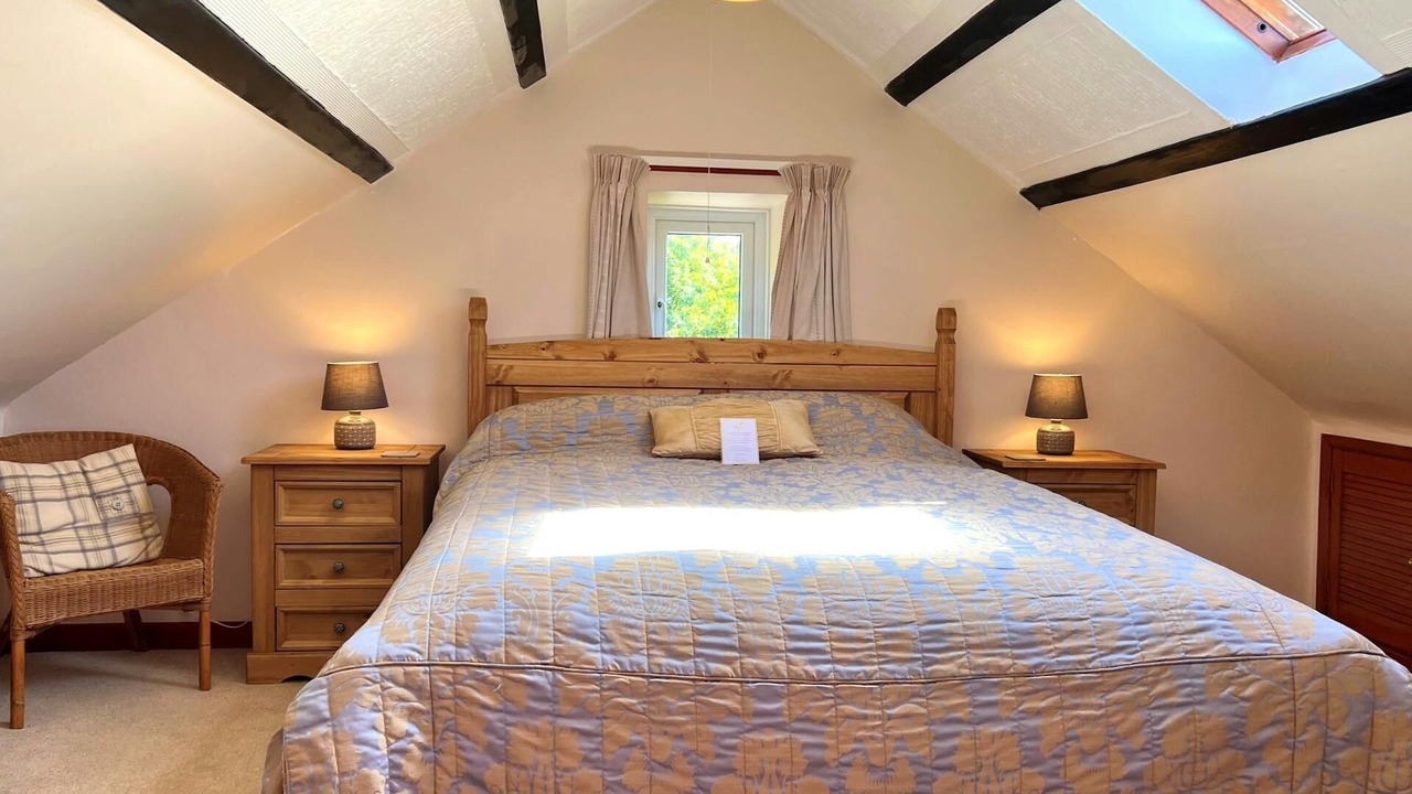 Photo of Others in Cardigan