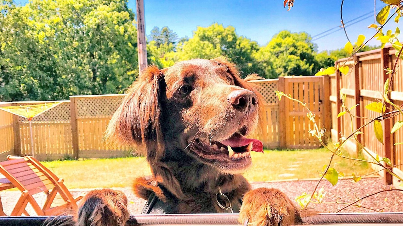 Photo of Others in Cardigan