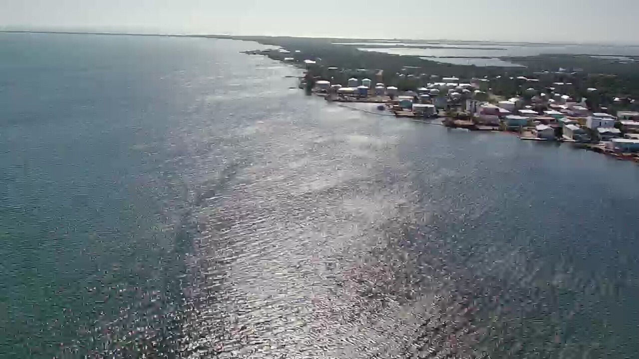 Photo of Others in Sands