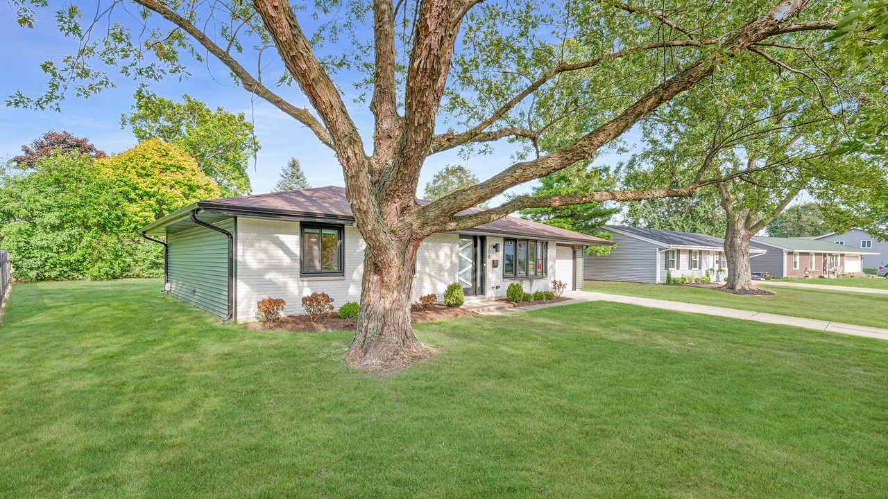 Photo of Outdoor in Forestview