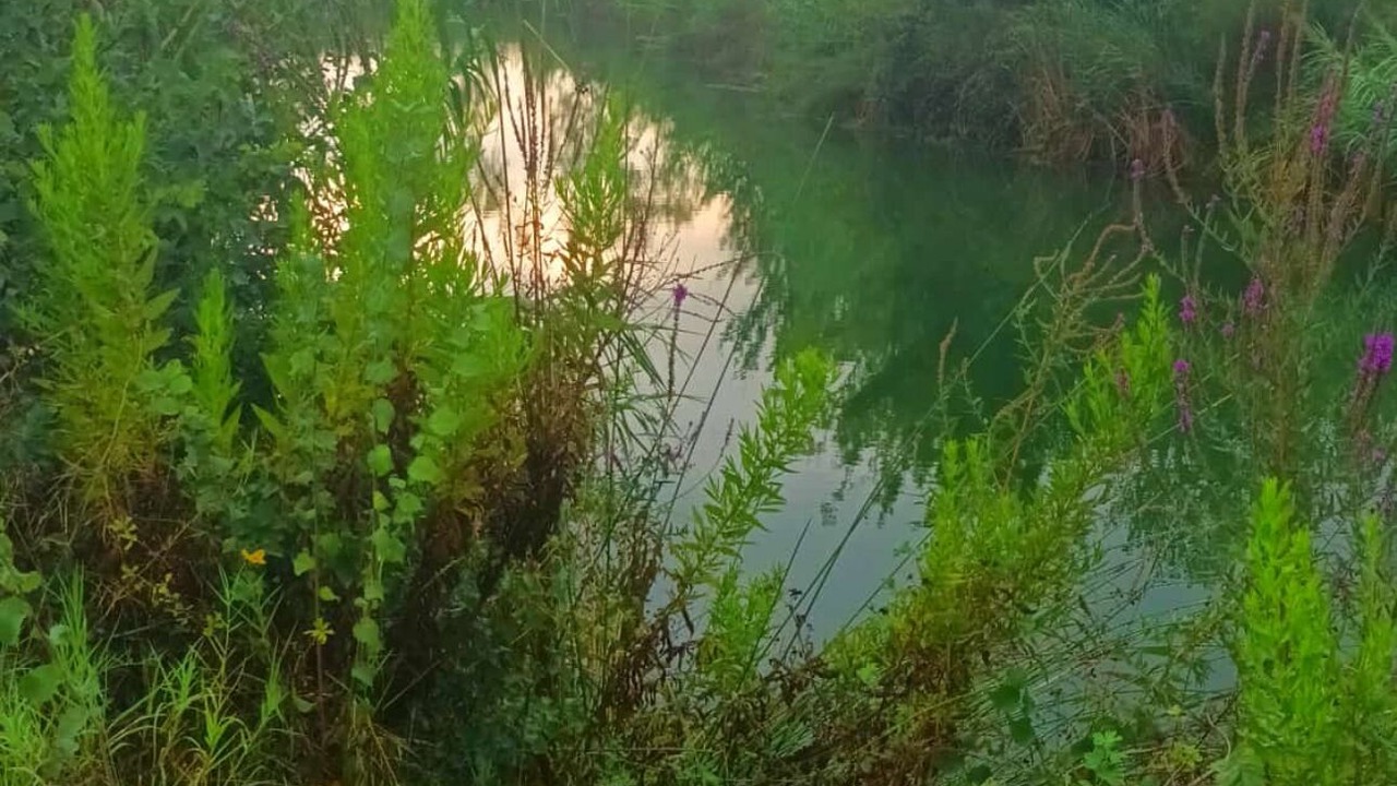 Photo of Outdoor in Burriana