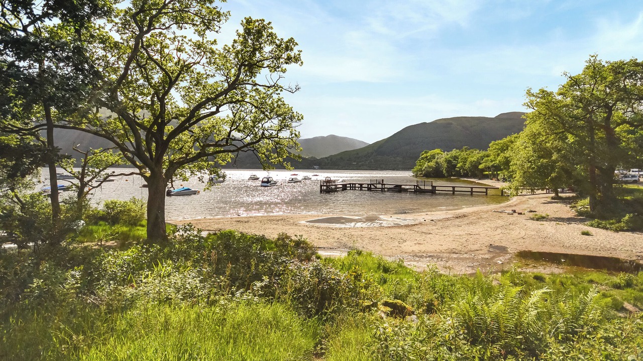 Photo of Others in Rowardennan