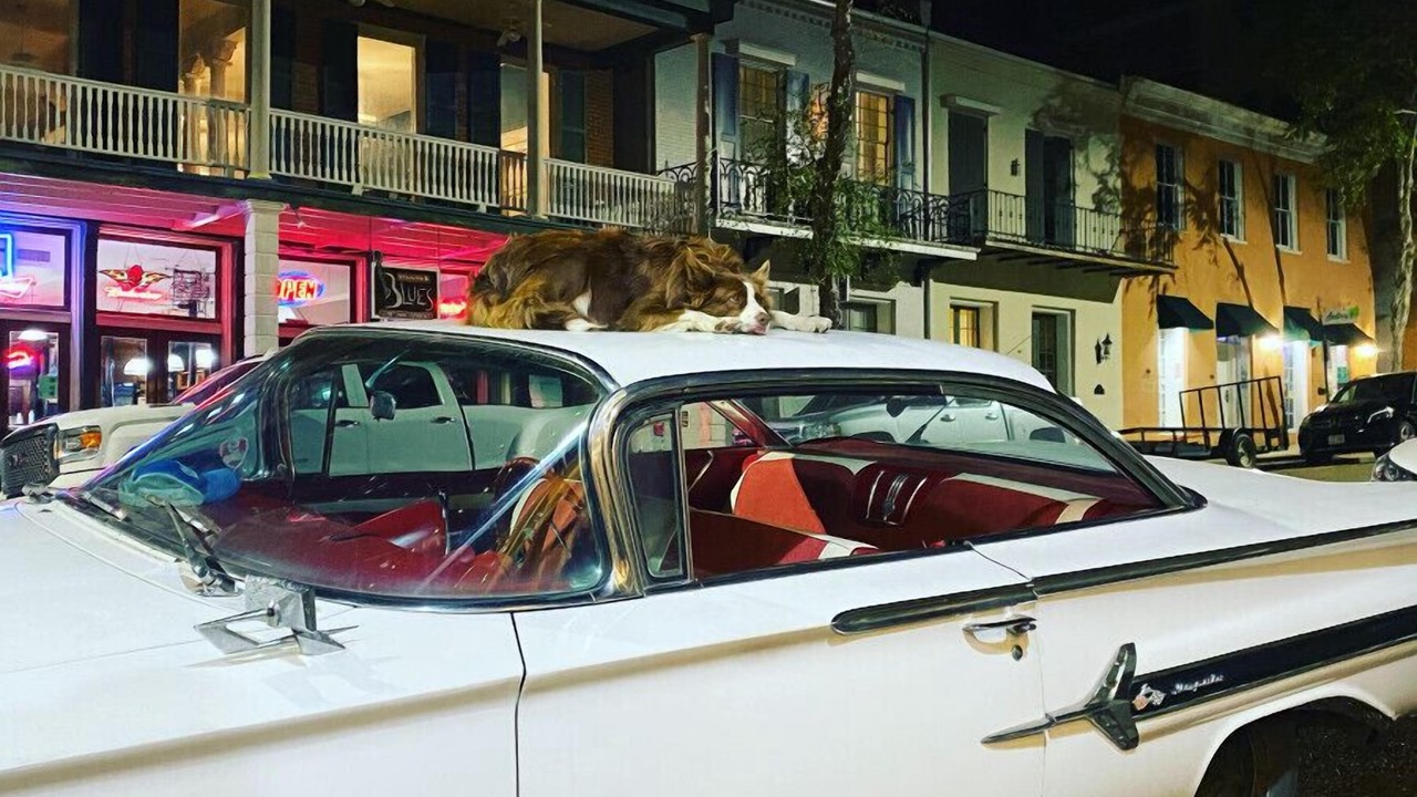 Photo of Others in Natchez