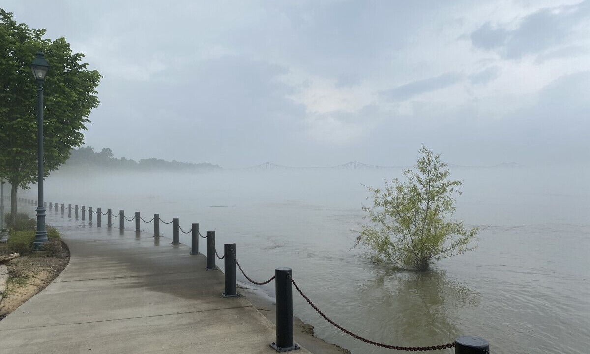 Photo of Others in Natchez