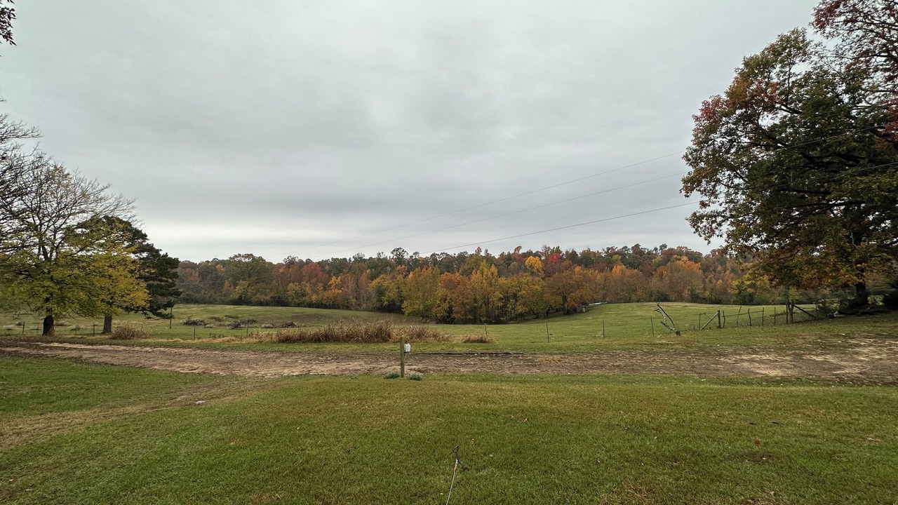 Photo of Outdoor in Gillham