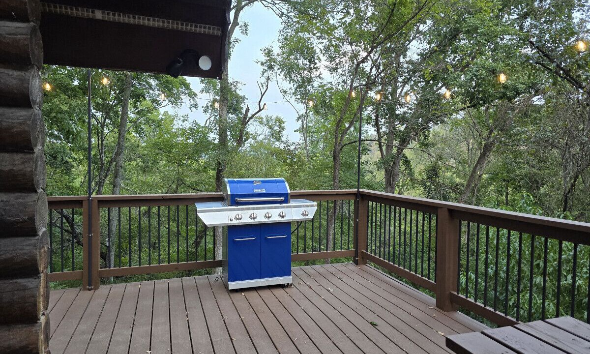 Photo of Outdoor in Bellevue