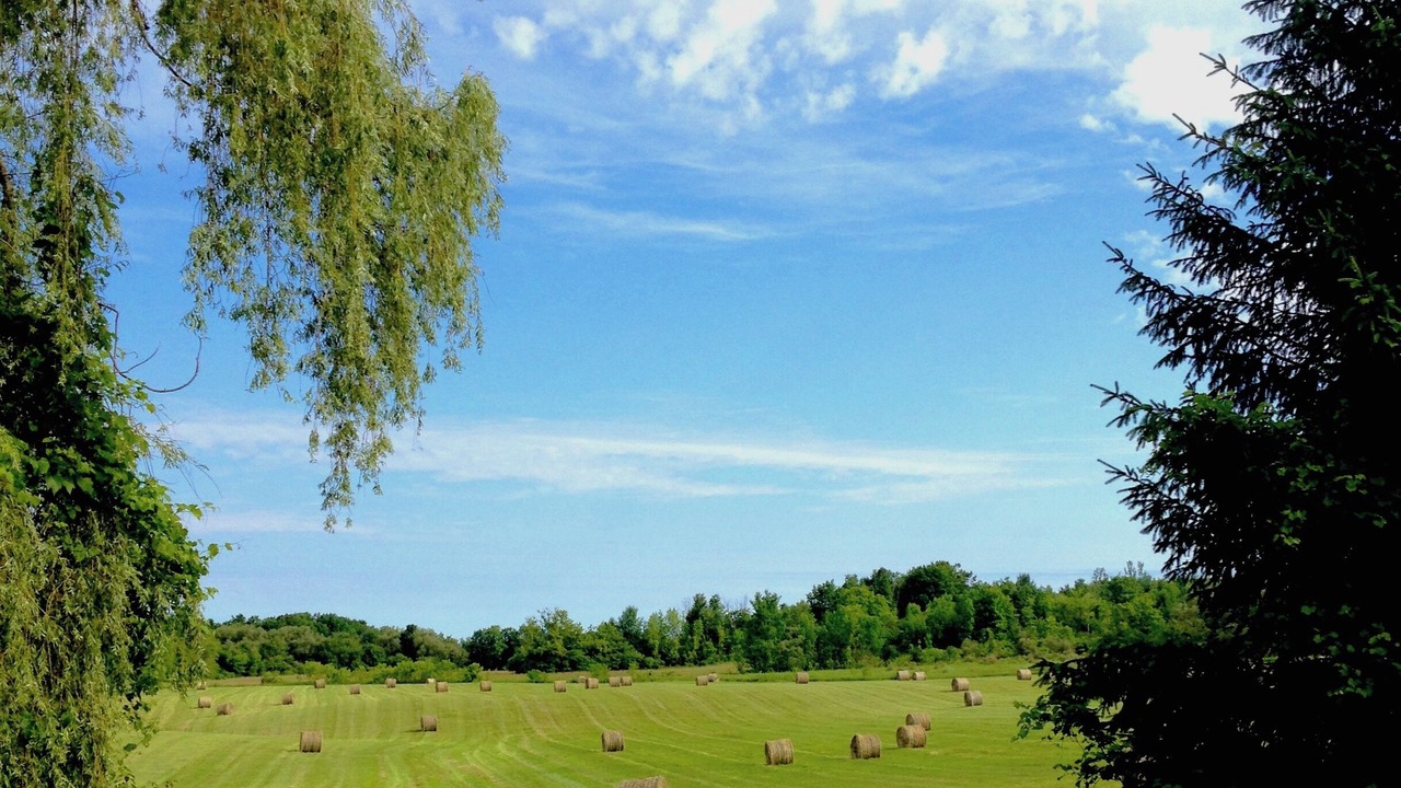 Photo of Others in Cramahe
