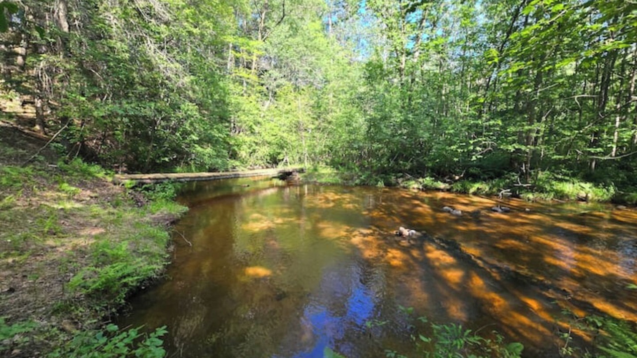 Photo of Outdoor in Iron River