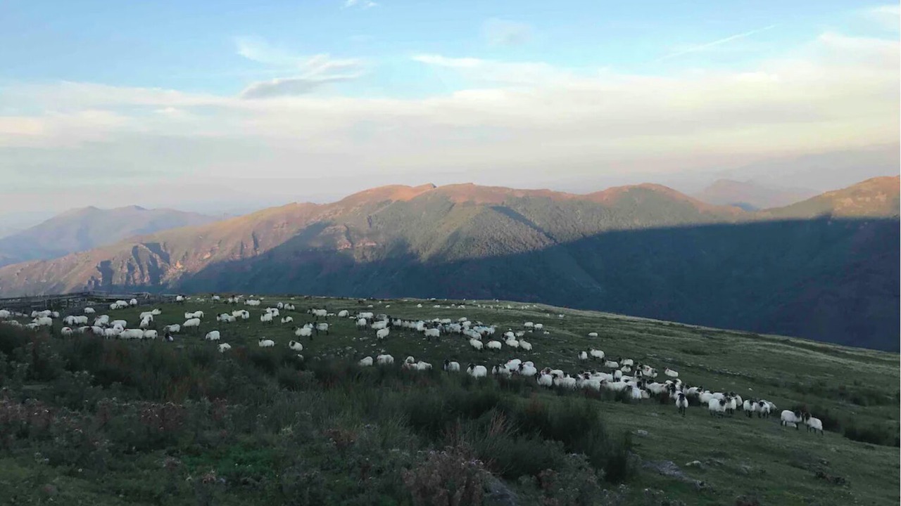 Photo of Others in Anglet