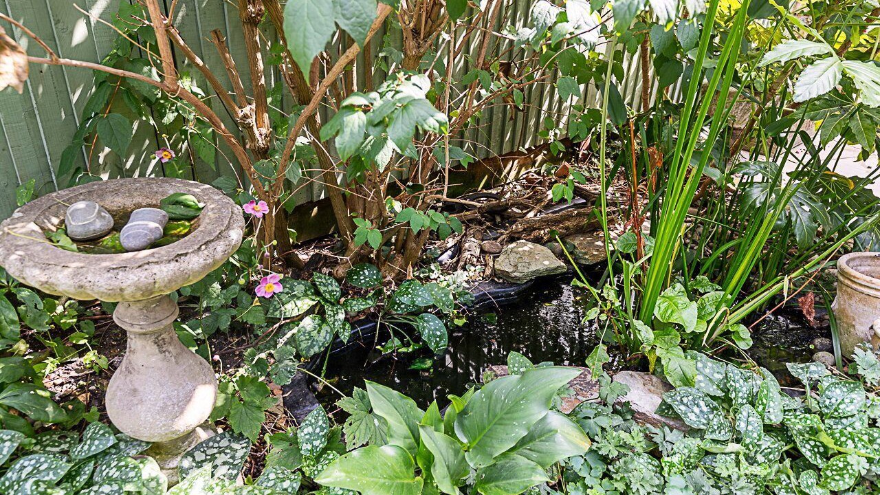 Photo of Outdoor in Brownswood