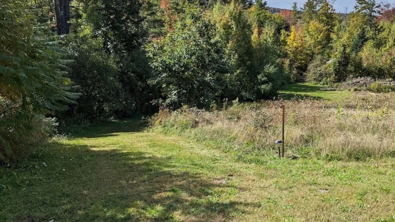 Photo of Outdoor in Elkins