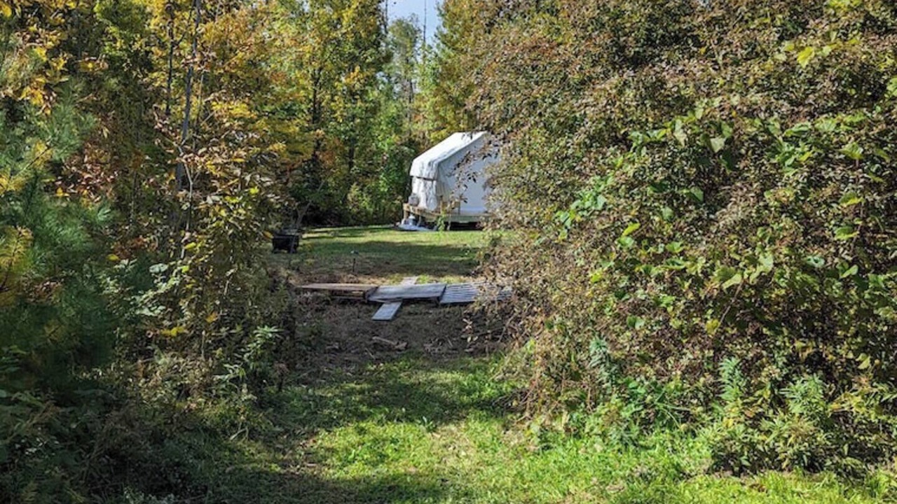 Photo of Outdoor in Elkins