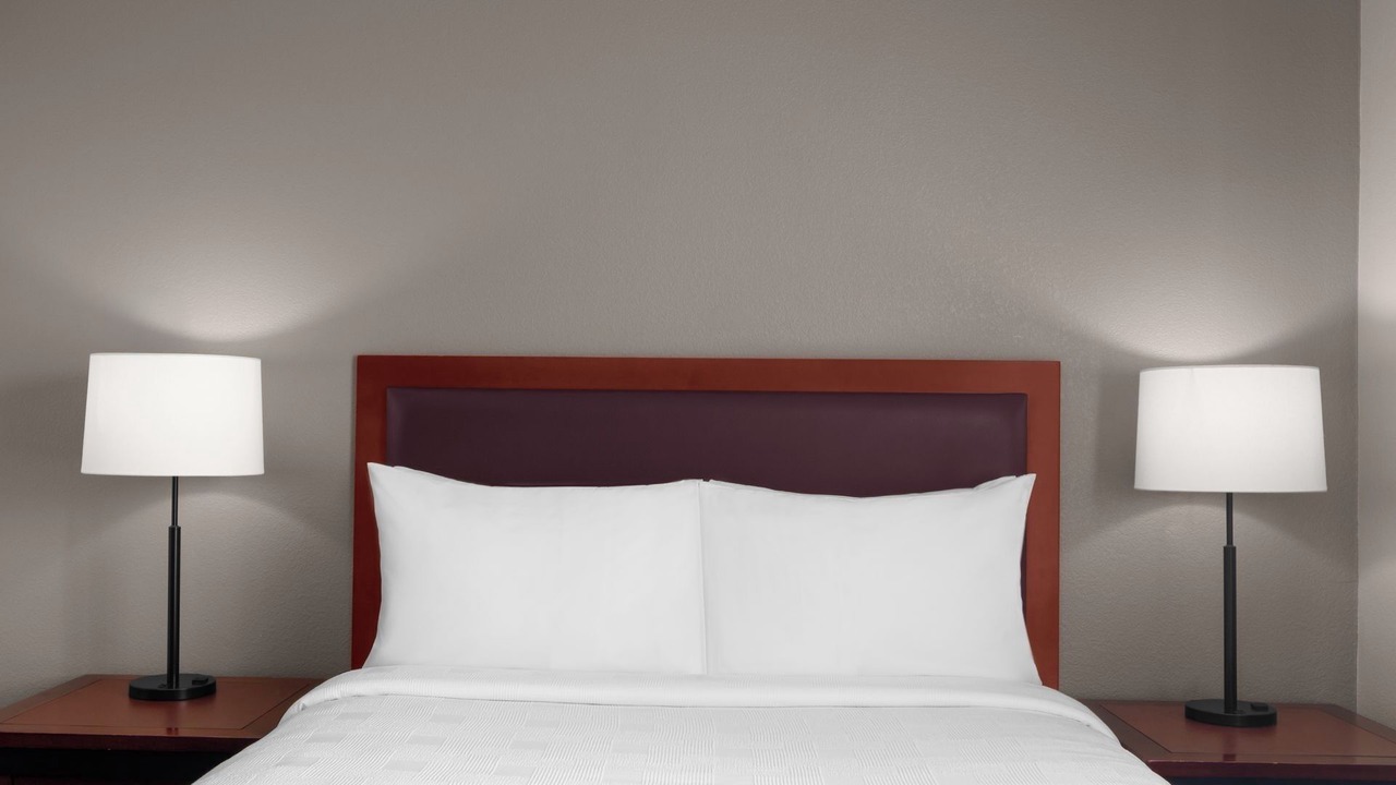 Photo of Others in Snail