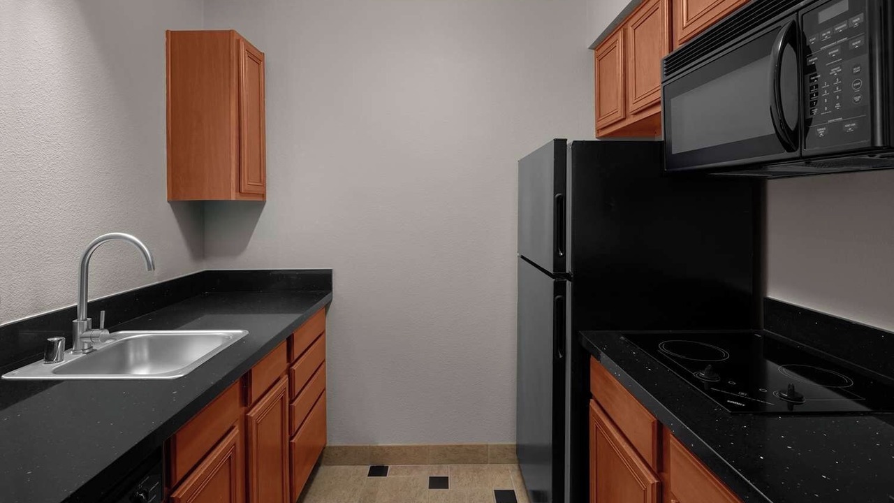 Photo of Others in Snail