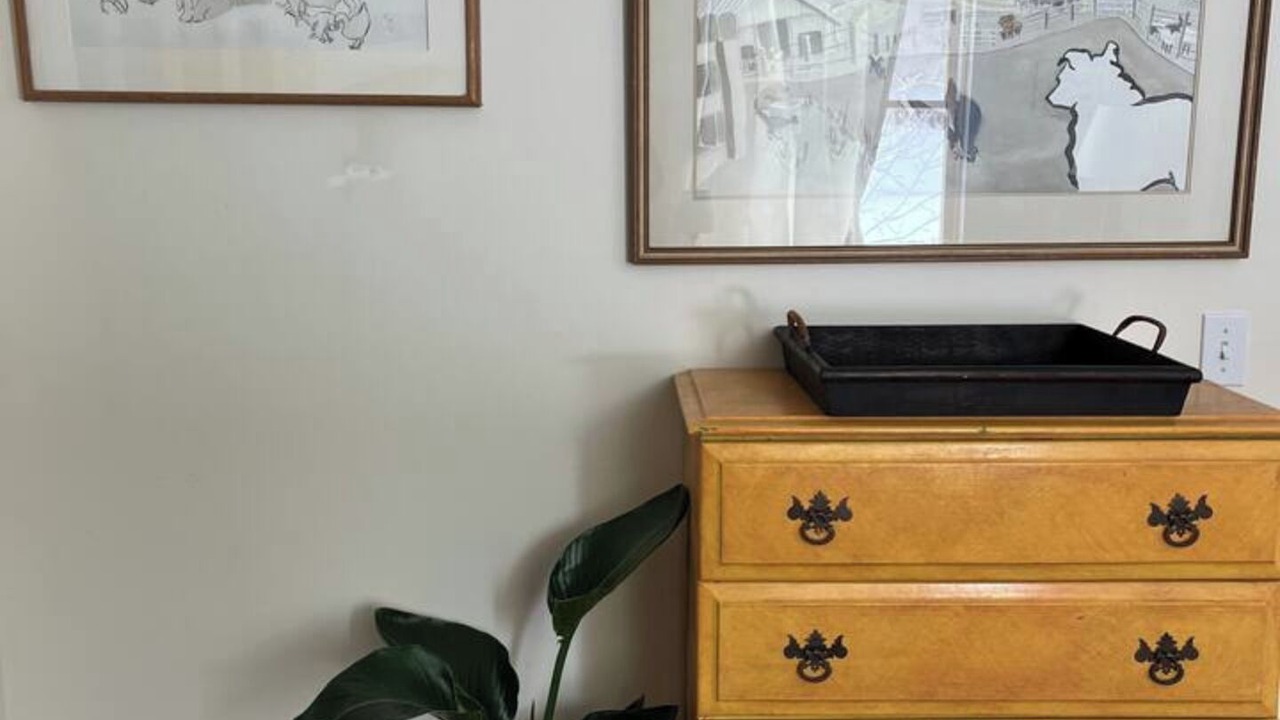 Photo of Others in Northport