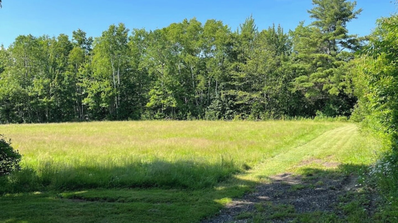 Photo of Others in Northport