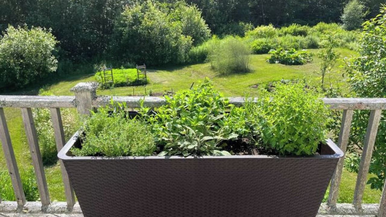 Photo of Outdoor in Northport