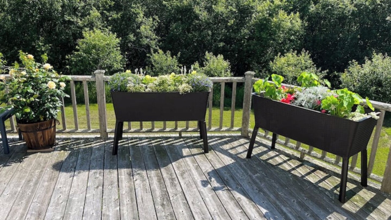 Photo of Patio Balcony in Northport