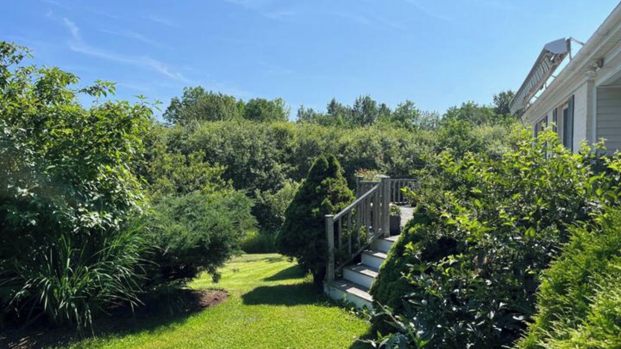 Photo of Outdoor in Northport