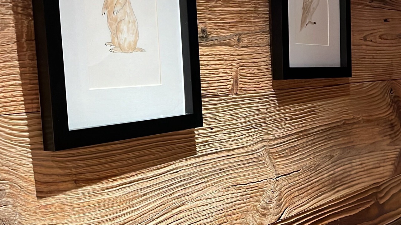 Photo of Others in Eclose-Ouest