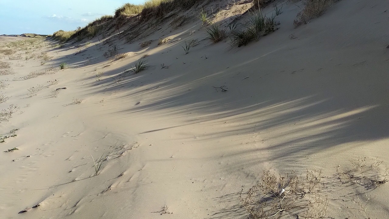 Photo of Others in Brackley Beach