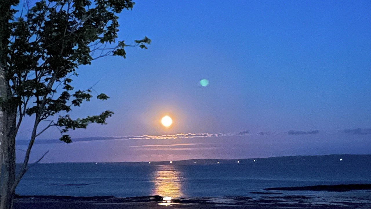 Photo of Others in Colchester County