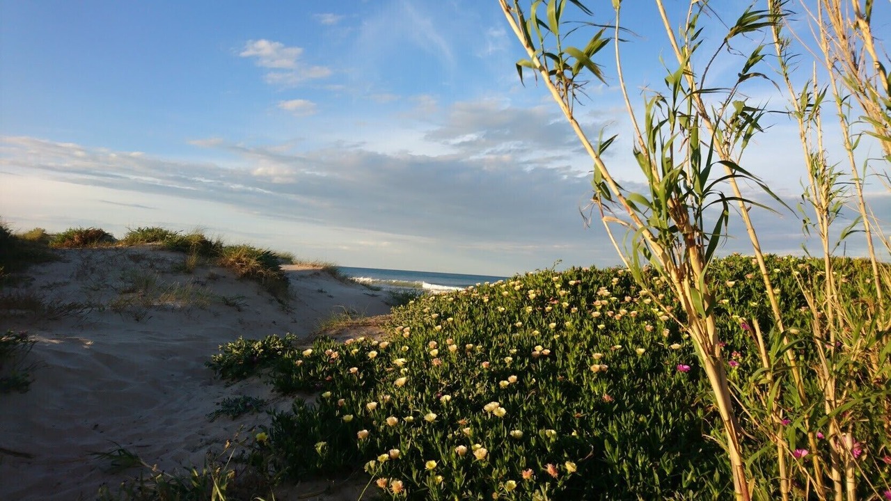 Photo of Others in Daimuz