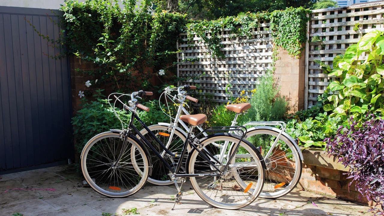 Photo of Outdoor in Camperdown