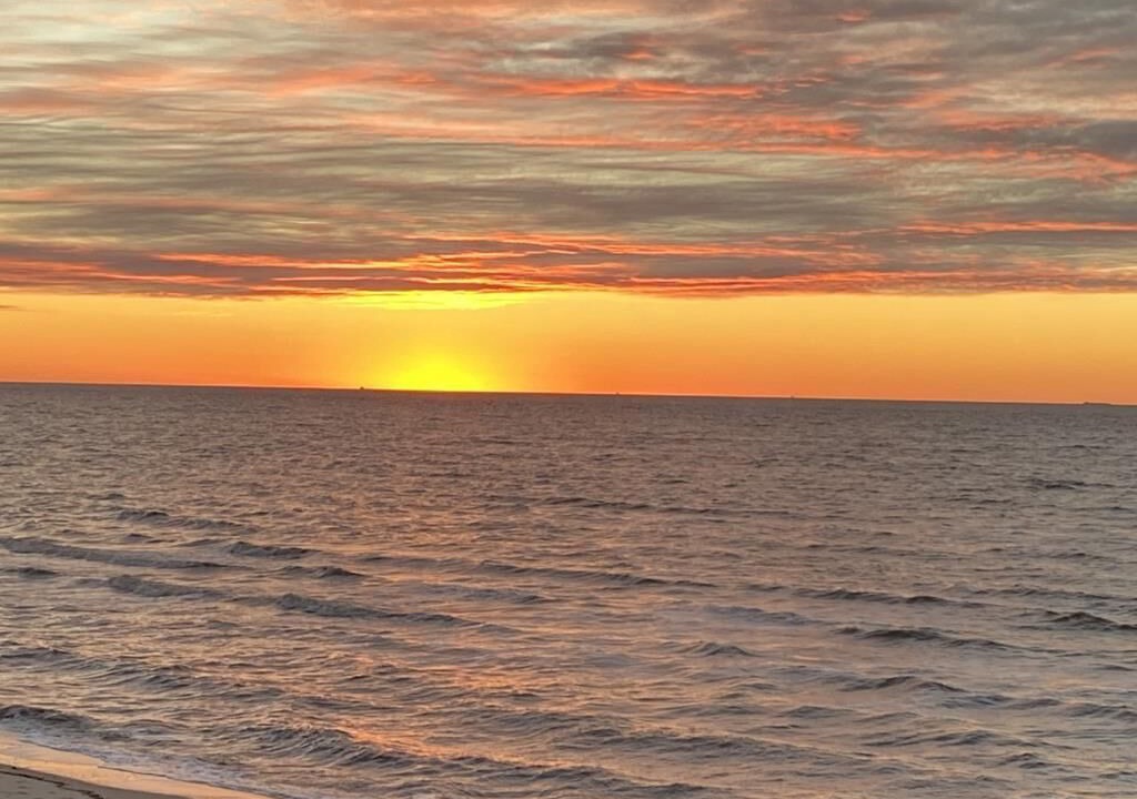 Photo of Others in North Cape May
