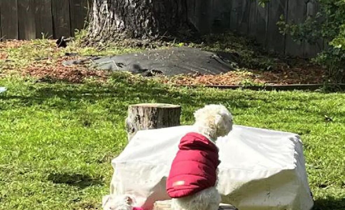 Photo of Outdoor in Northside