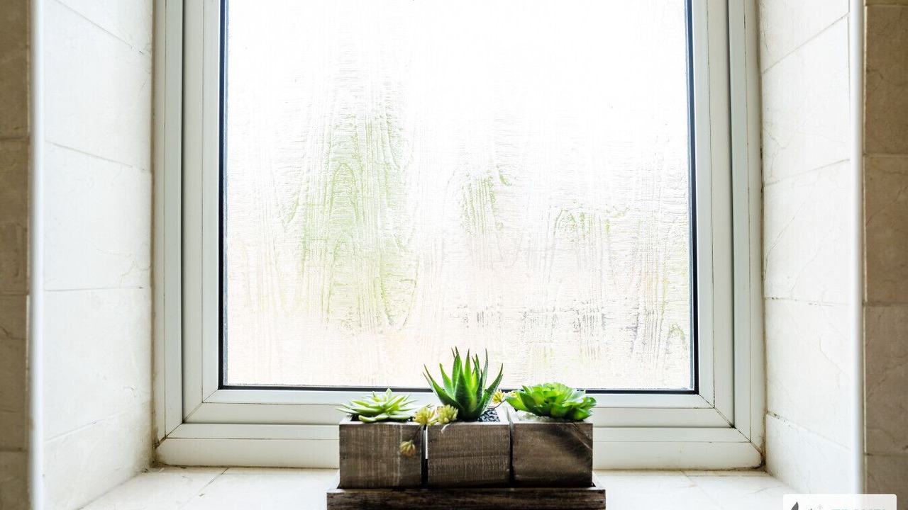 Photo of Others in Nottingham