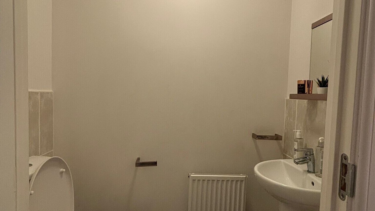 Photo of Others in Stone