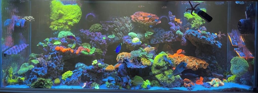 Photo of Others in Allen