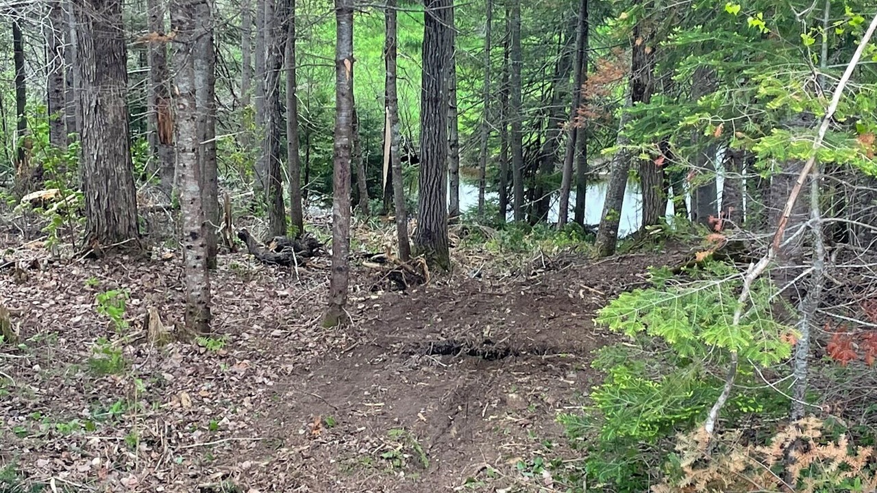 Photo of Others in Kouchibouguac