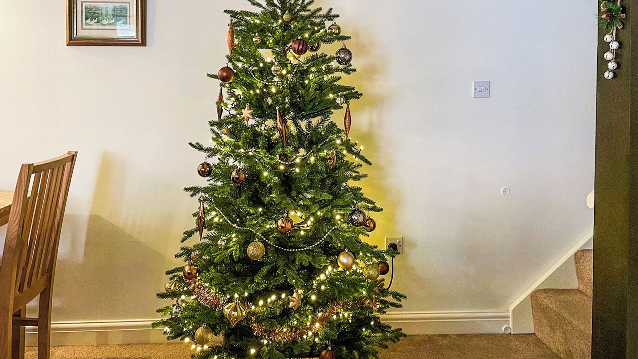 Photo of Others in Bicton